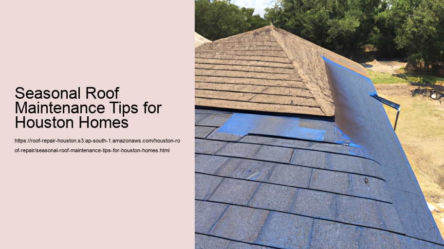 Seasonal Roof Maintenance Tips for Houston Homes
